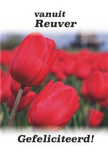 Gefeliciteerd, rode tulpen