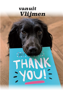 Thank you, met hond