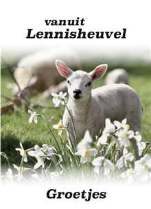 Groetjes, lammetjes