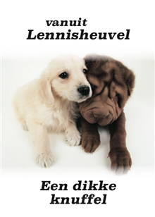 Een dikke knuffel twee honden