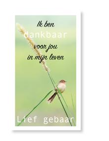 Lief gebaar Ik dankbaar ....Vogeltje