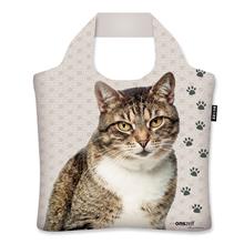 Mr Cat