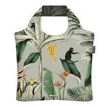 Tropical Leaves