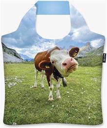Moo ( Lukas Hanes)