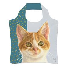 Vouwtas Franciens katten-Francien Westering
