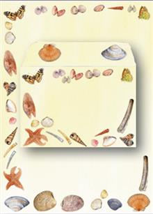 briefpapier A4 schelpen + 51421