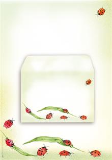 briefpapier A4 lieveheersbeestje + 51445
