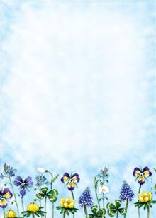 pak 24 vel A4 bloemen Froukje