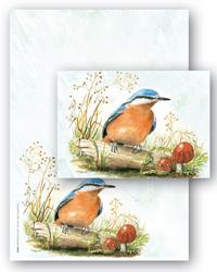 briefpapier A5 boomklever + 12495