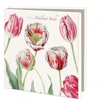 Kaartenmapje Tulips - Anita Walsmit Sachs