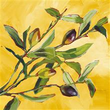 Servet 25x25 Olive Musée