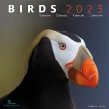 Kal. 2023 30x30 Birds - Vogelbescherming