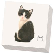 Servet 33x33 Franciens katten