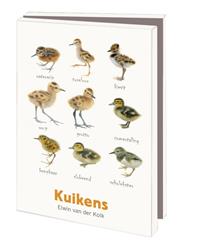 Kaartenmapje klein Kuikens - Van der Kolk, Vogelbescherming