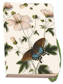 Notebook Softcover A6 Marsh-mallow - Fitzwilliam Museum