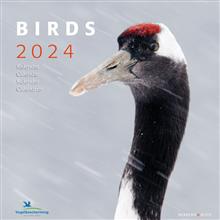 Kal. 2024 Kalender Birds - Vogelbescherming