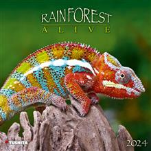Kal. 2024 Maandkalender TU - Rainforest alive