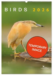 Birds posterkalender 2026, Vogelbescherming